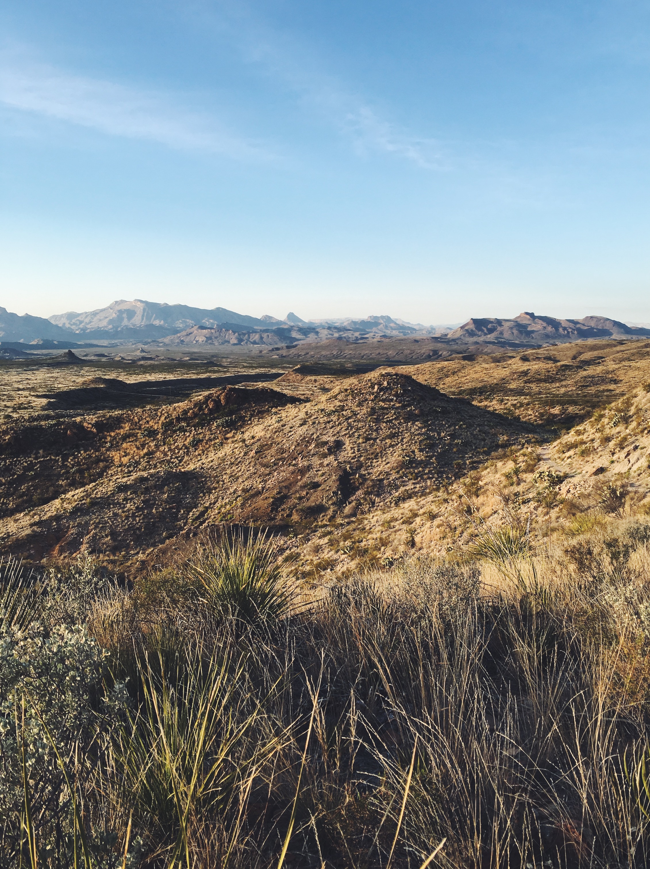 Big Bend National Park • Feb 8