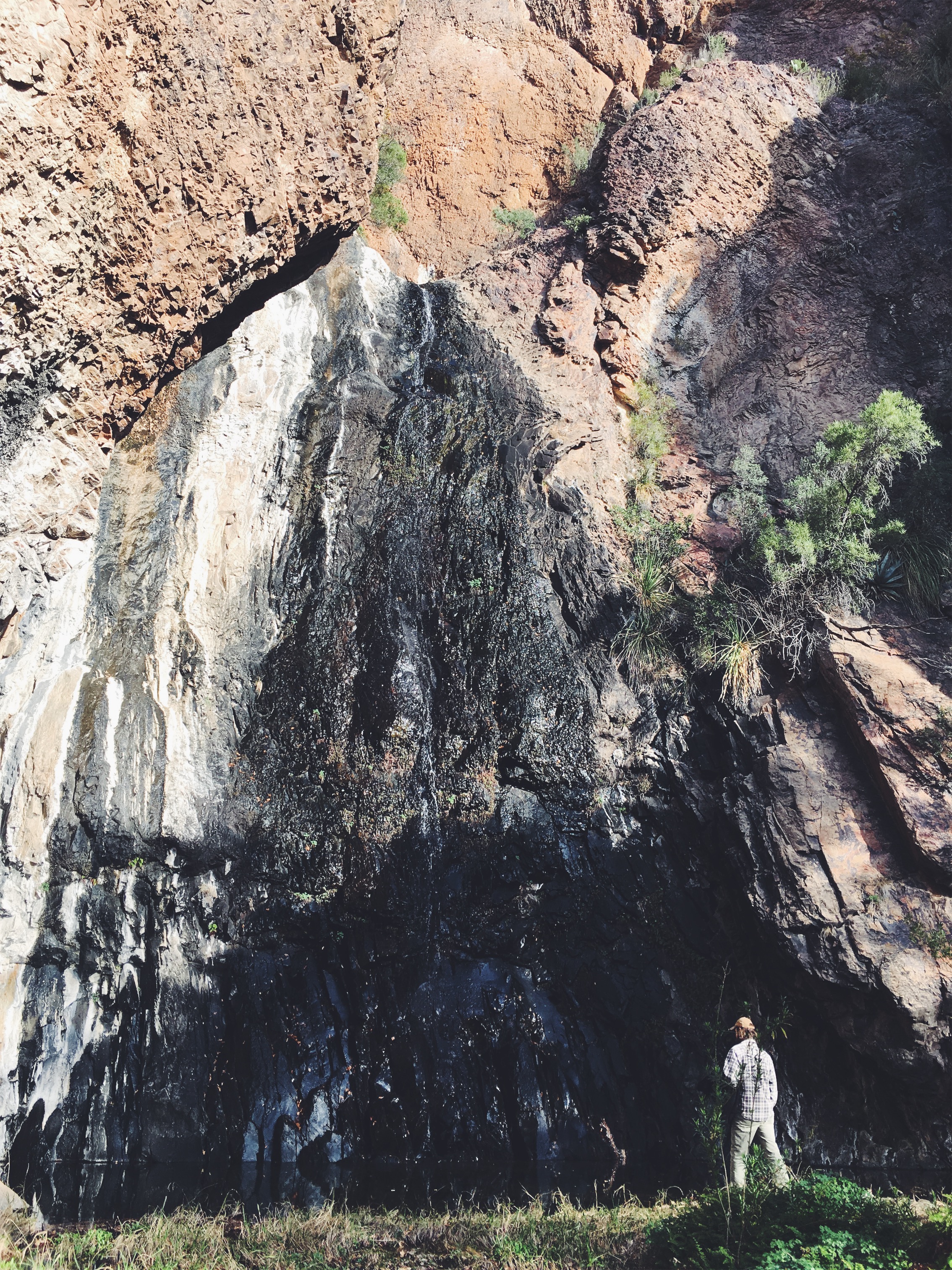 Cattail Falls, Big Bend National Park • Feb 8