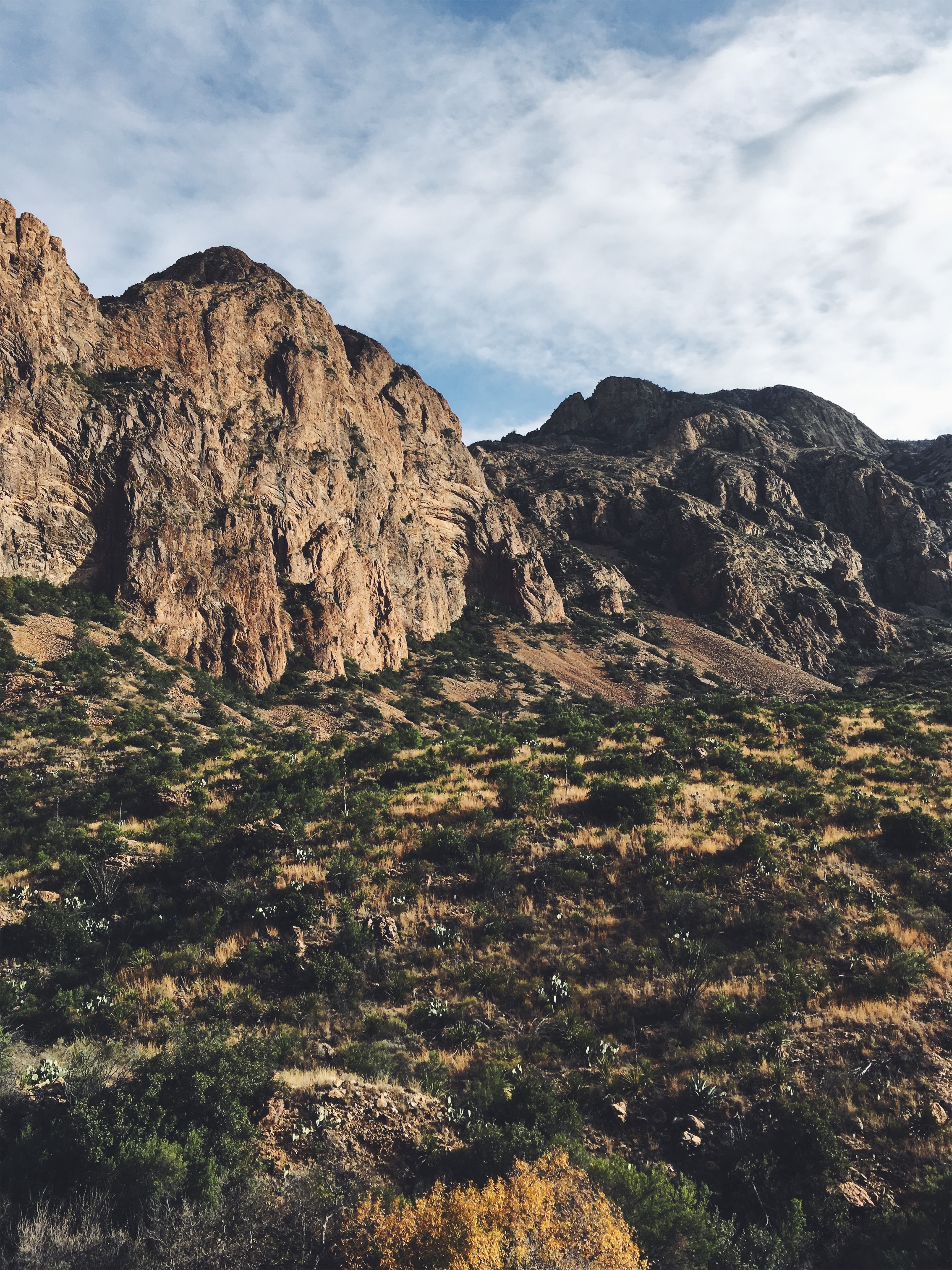 Big Bend National Park • Feb 8
