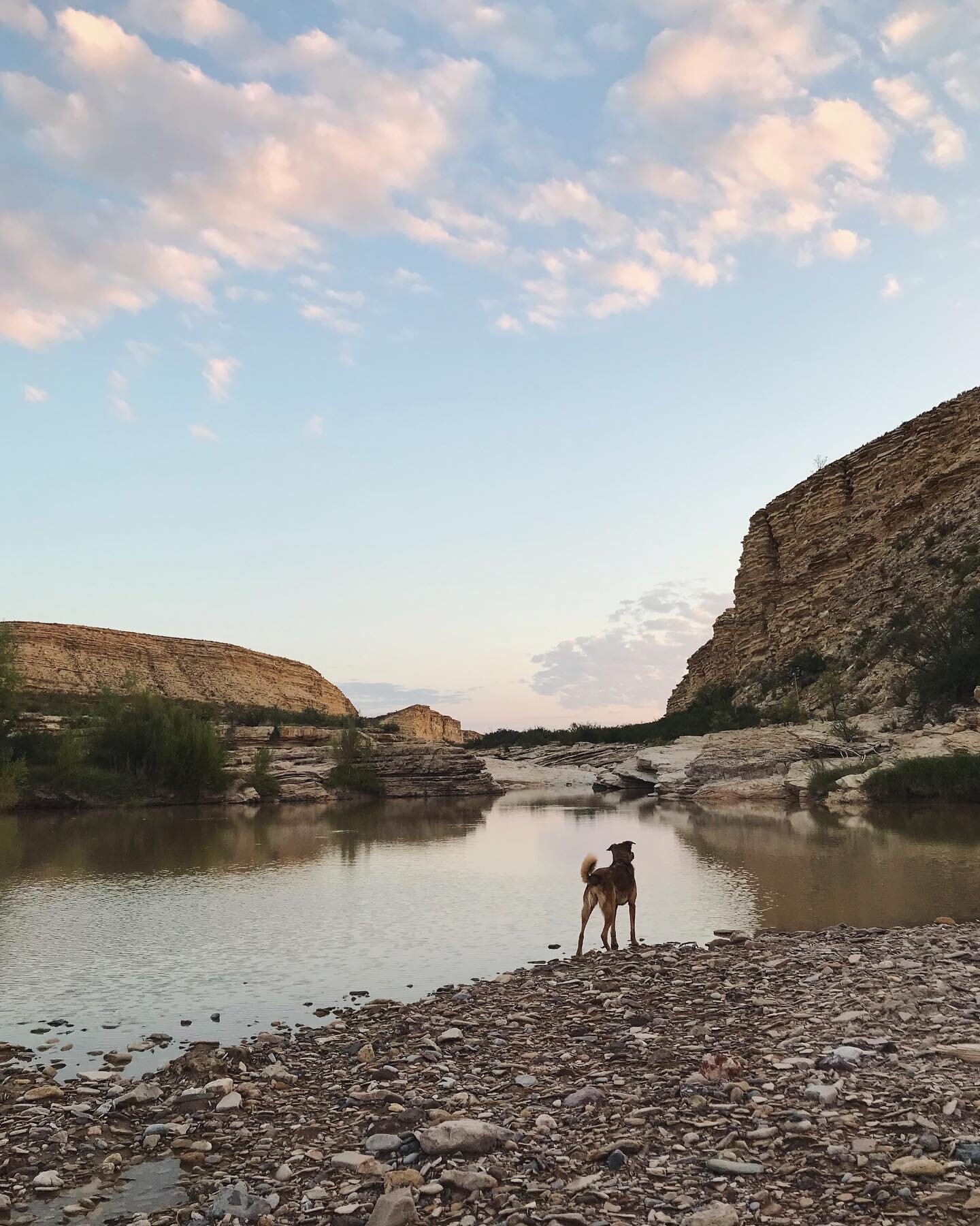 Just a couple of water babies tryin to make it in the desert