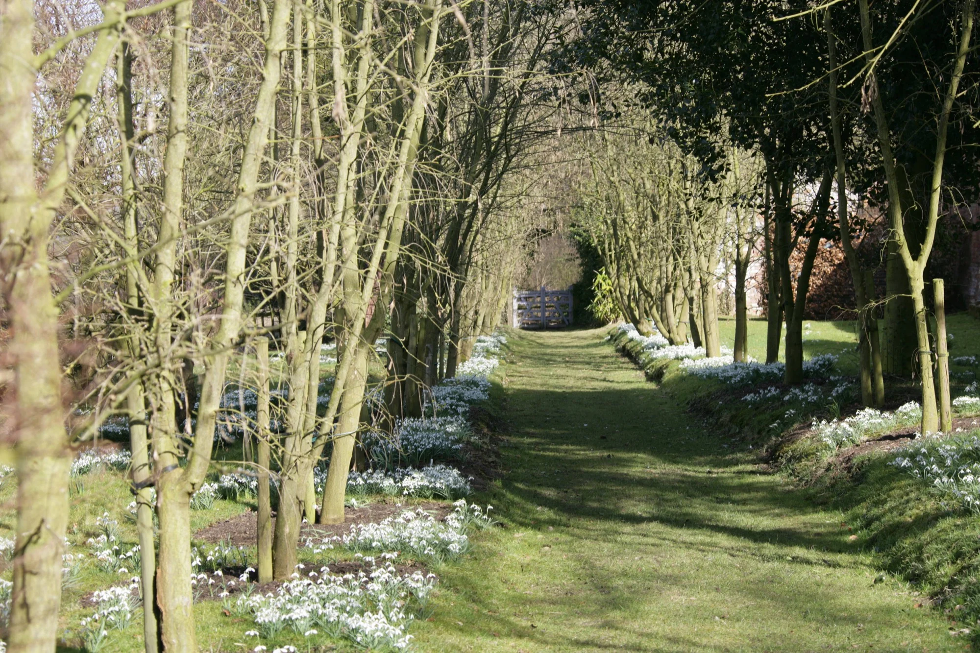 UKCity Images email2 ready 030.jpg