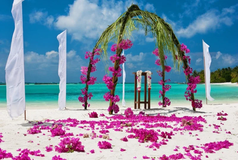 she3442mf-97613-Wedding_set-up.jpg