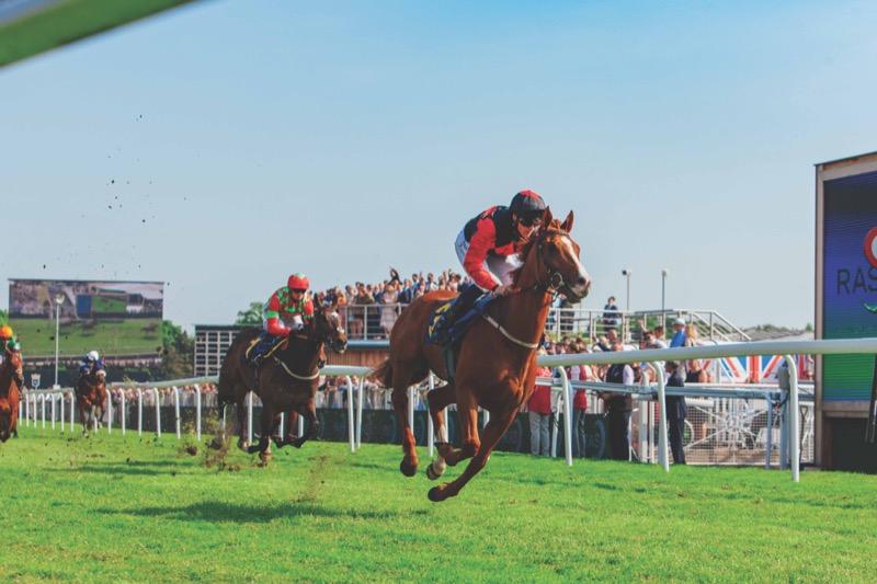 Day at the Races-2.jpg
