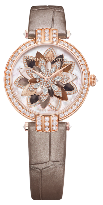 PRNAHM31RR001_WhiteBg.png