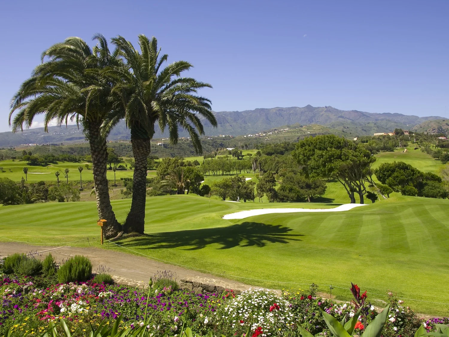 Real Club de Golf de Las Palmas.jpg