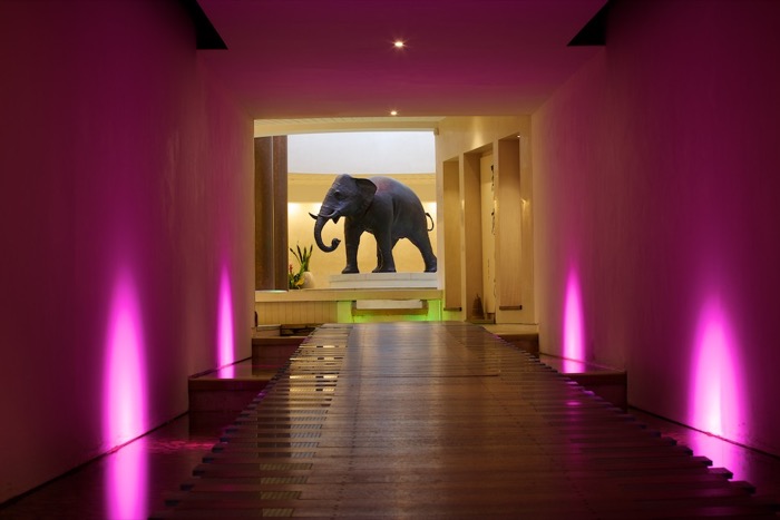 Seaham_Hall_Spa_entrance_with_elephant_4968.jpg