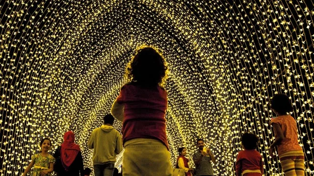 dunhamchristmaswinterlights9.jpg