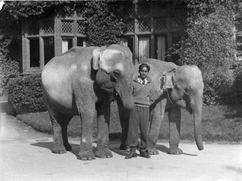 Chester Zoo pub wins prestigious award 2.jpg