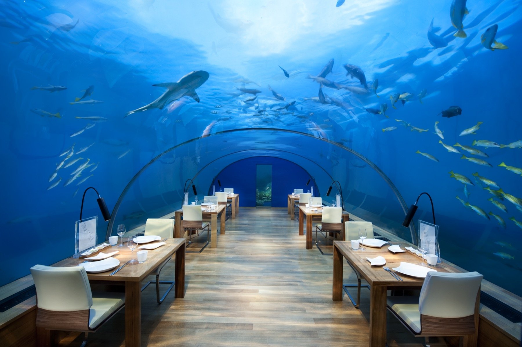 Conrad Maldives_Ithaa Undersea Restaurant (3).jpg