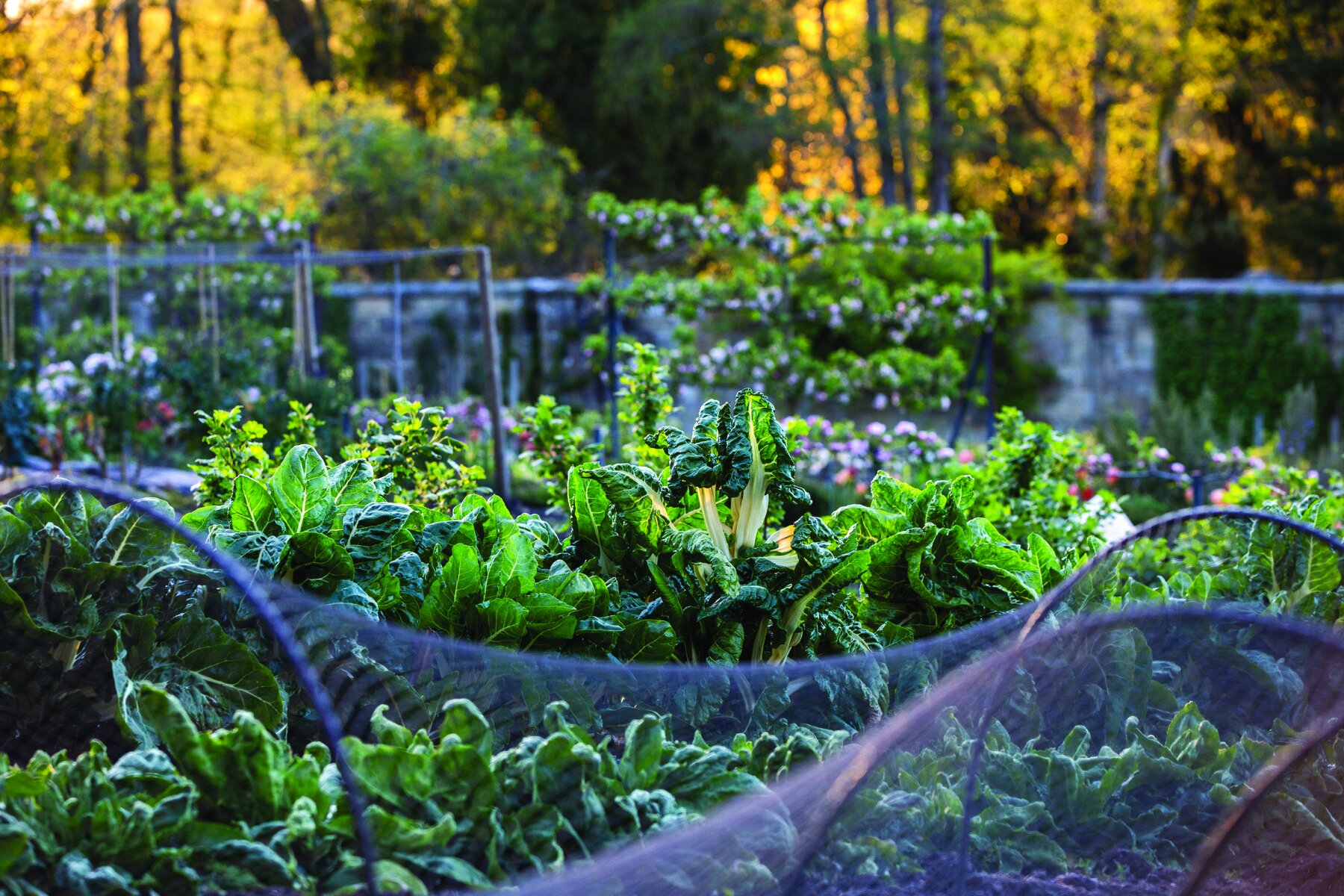 Gravetye Kitchen Garden