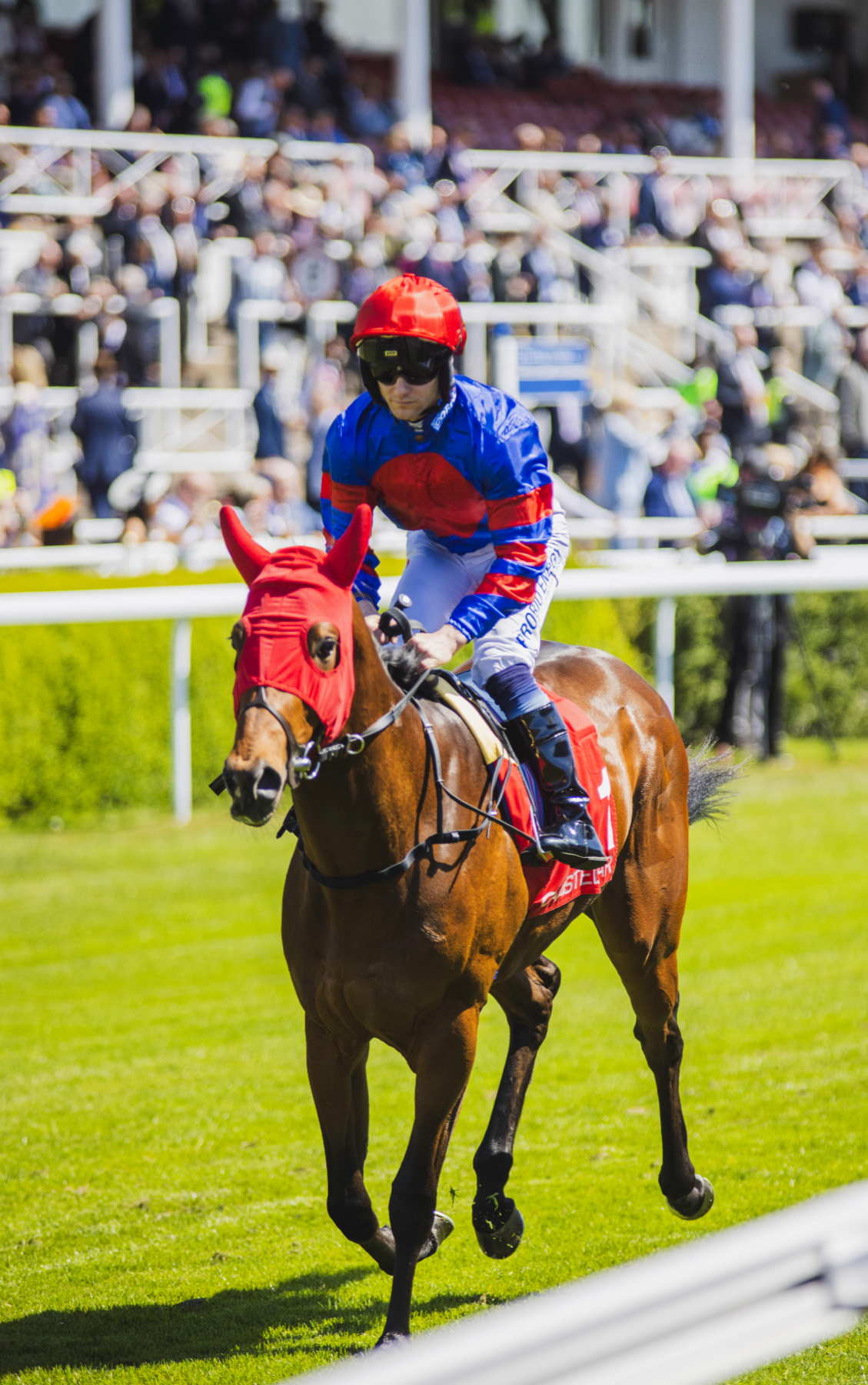 Screenshot 2026-04-13 at 14.34.26.png