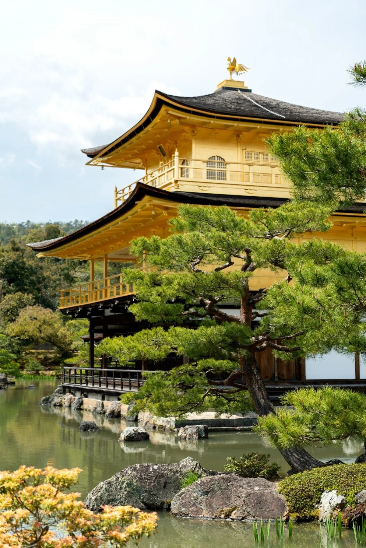 kyoto 1.jpg
