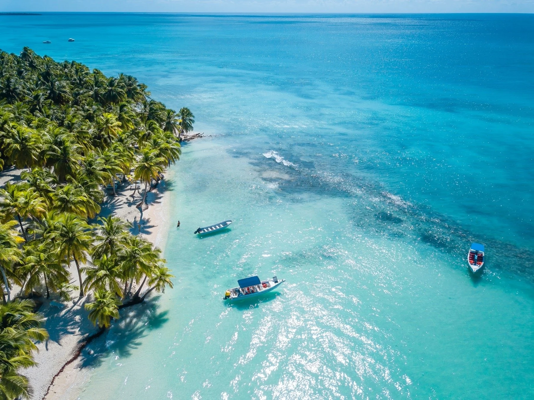 shutterstock_2119042220.jpg
