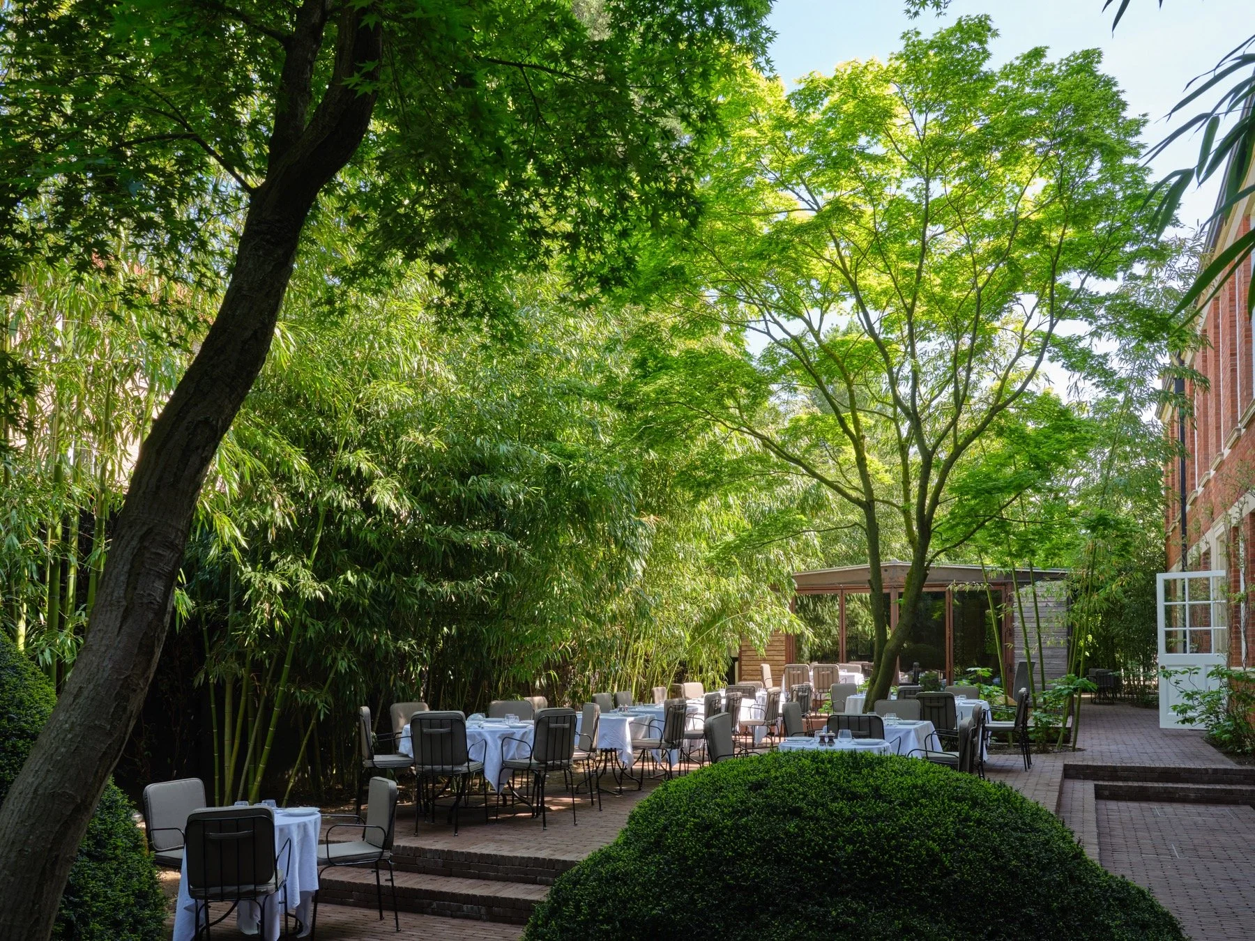 Garden.jpg