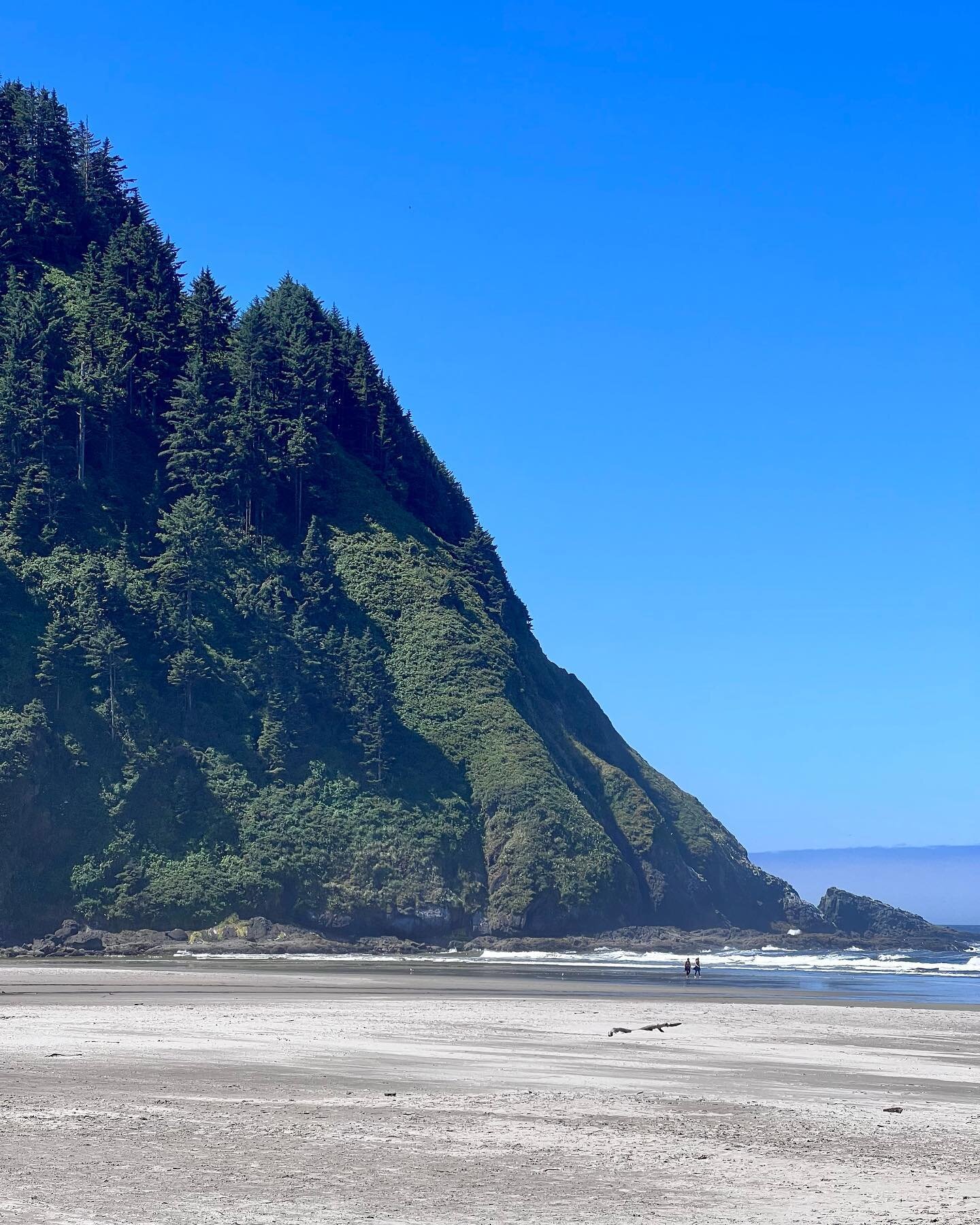 Hanging out on the Oregon Coast just north of Florence. These stretches of sand against the evergreen forest plunging down into the Pacific Ocean are just magnificent. Zef and I took the &ldquo;Hobbit Trail&rdquo; (the real name of the trail) to reac