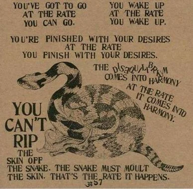 This psychedelic epic was inspired by the above excerpt from Be Here Now by Ram Dass, which reflects on the organic nature of metamorphosis. In other words, evolution of the soul occurs when it’s meant to occur. In my poem, the image of the serpent shedding its skin brackets the story of my own exodus from Los Angeles to my place of respite, a jewel of a town nestled between the mountains and the sea.