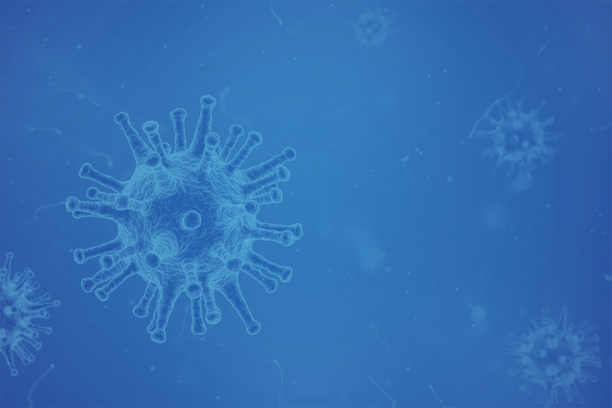 FEATURED BLOG - The Financial Impact of the Coronavirus (COVID-19)
