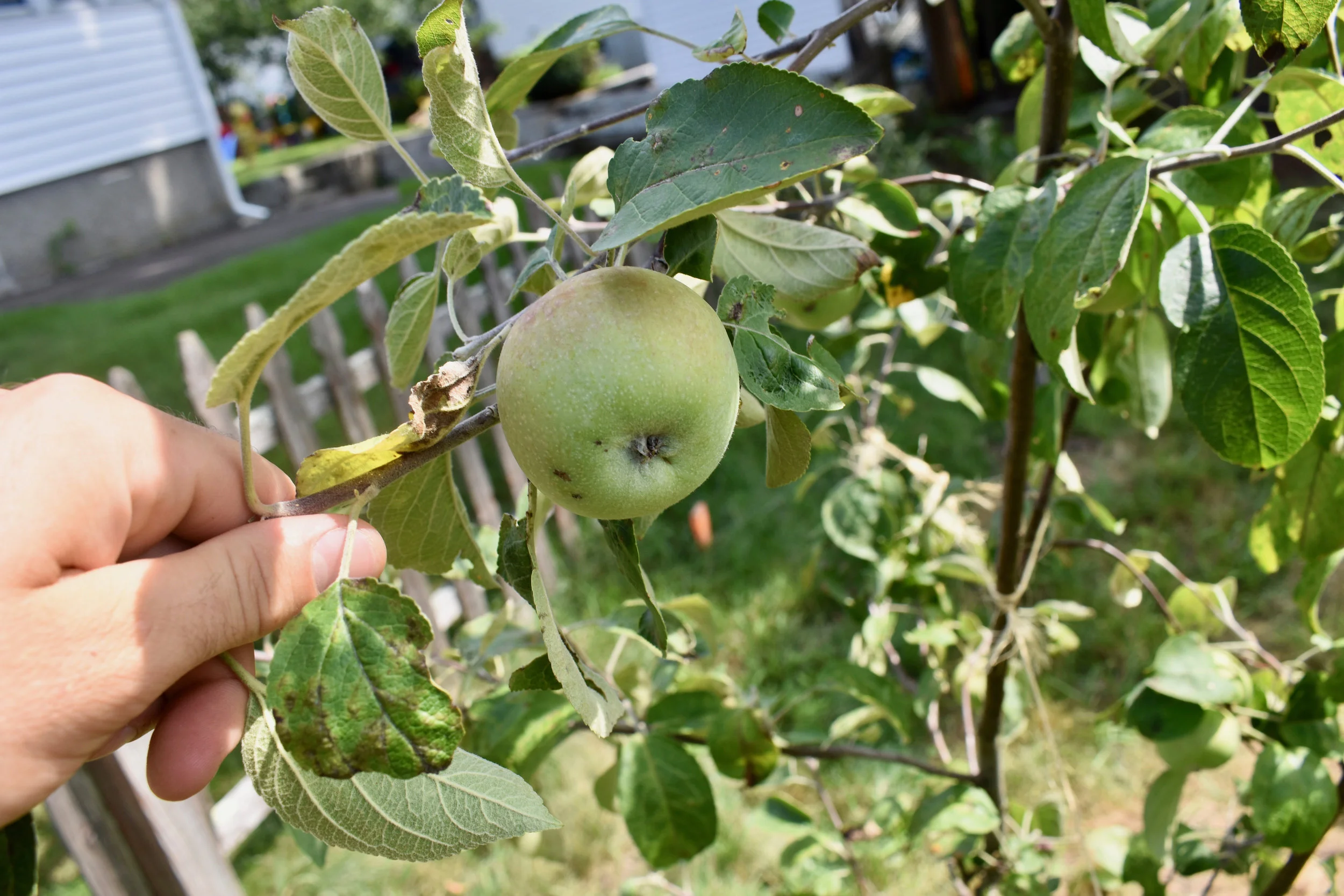 DSC_0671.jpg