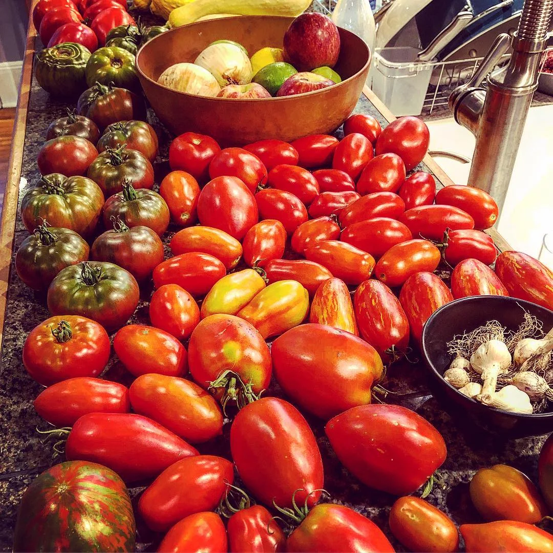 Tomatoes Summer 2018.jpg