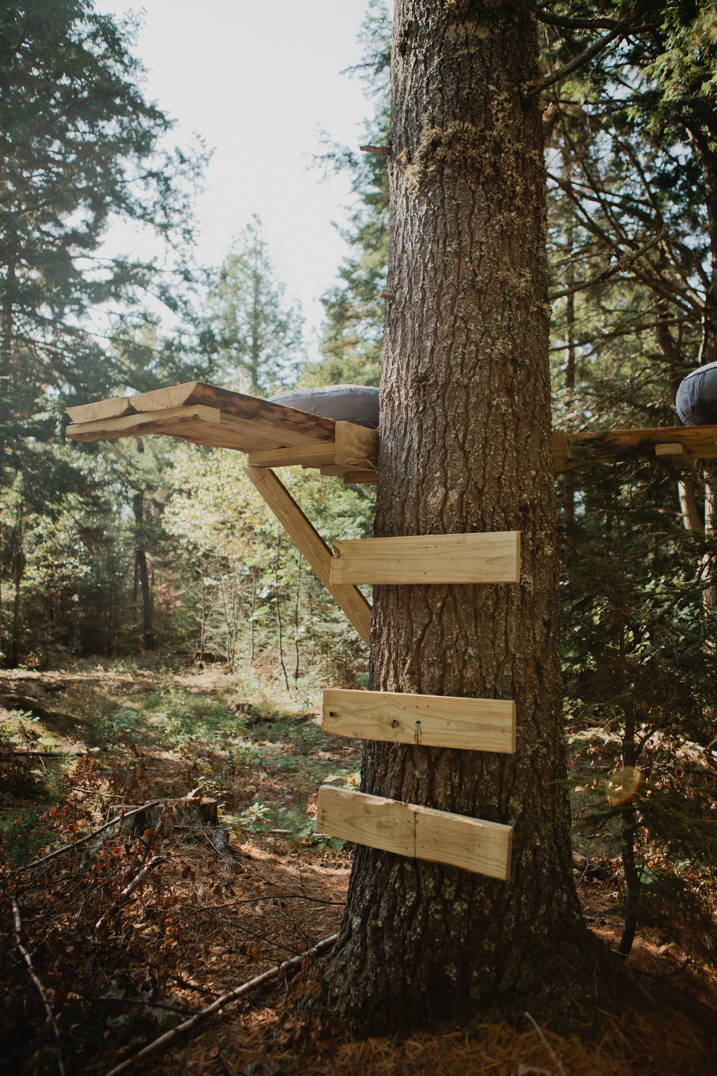 photo by Craig 1 campsite.jpg