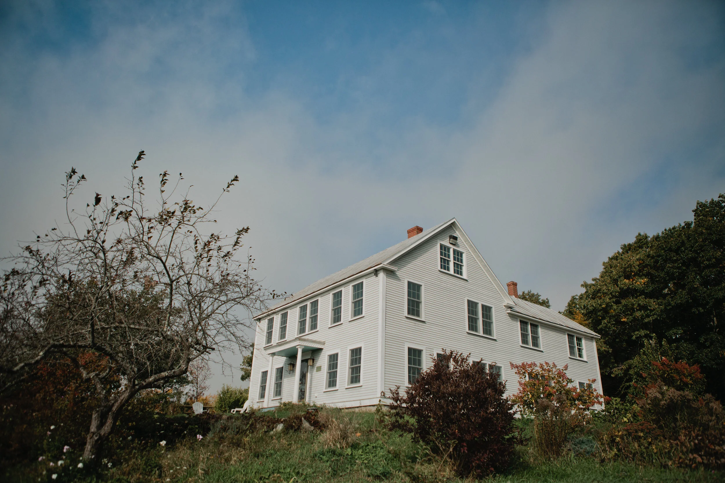 WildGrace-8.jpg