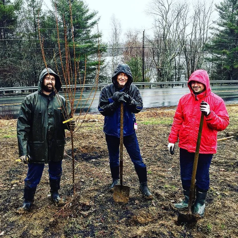 Orchard planted on a Rainy Day