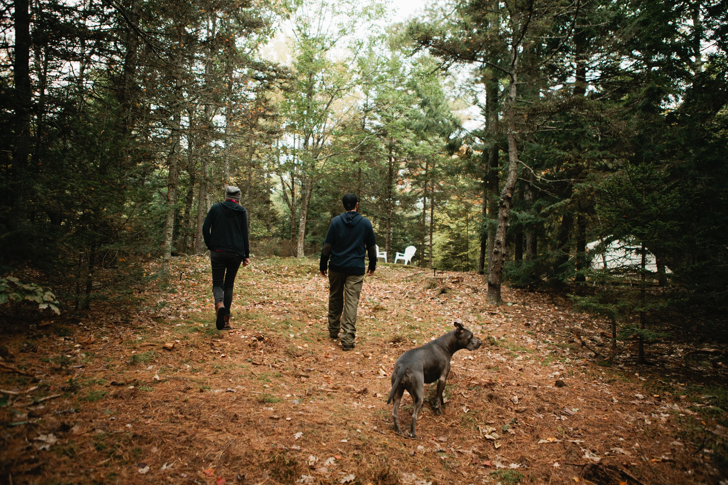 WildGrace-resized-1.jpg