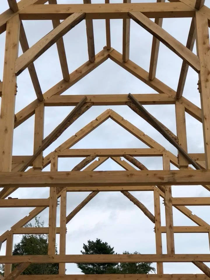 42217001_10214771687298231_6756081838344634368_n.jpg