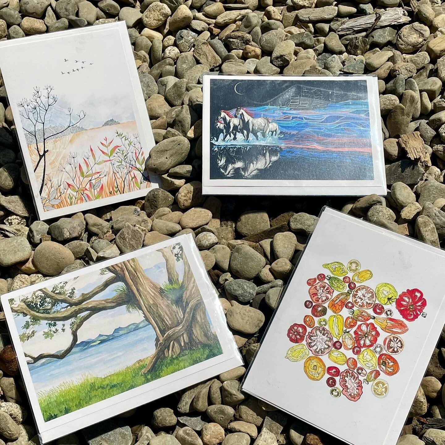 New greeting card designs have arrived at @wildgracefarmstore from Maine artist, @mattierosetempleton 🎨