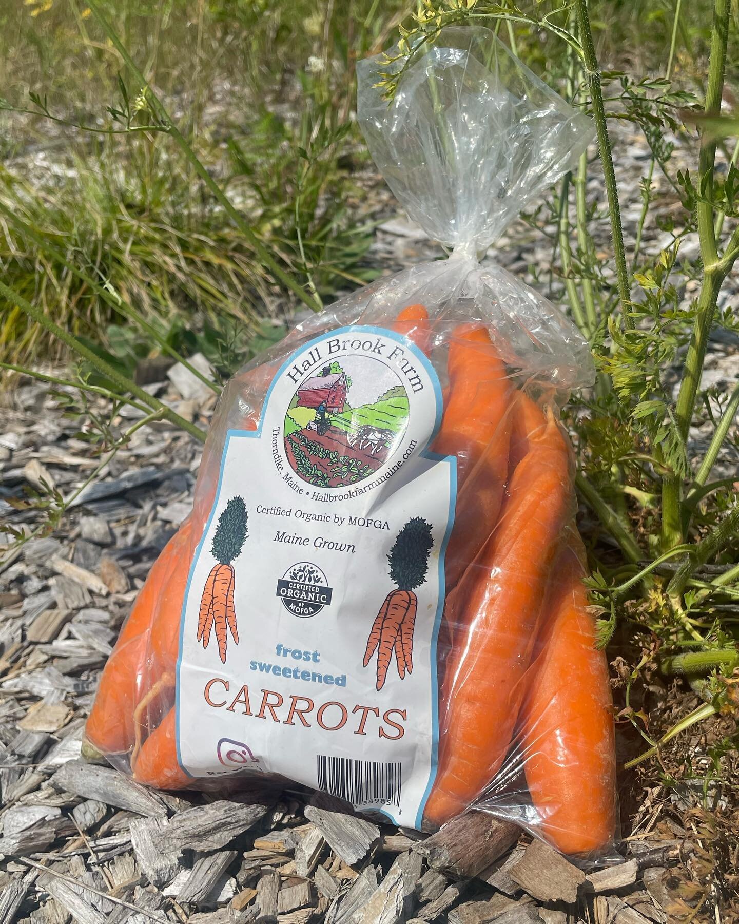 Organic Frost Sweetened Carrots 🥕🥕🥕from Hall Brook Farm @hallbrookfarmmaine