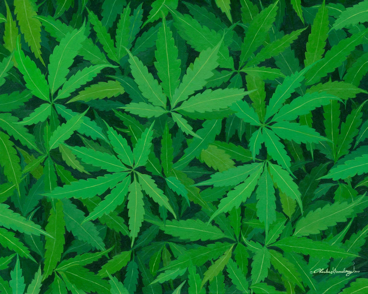 Home Grown Weed Leaves Original Painting