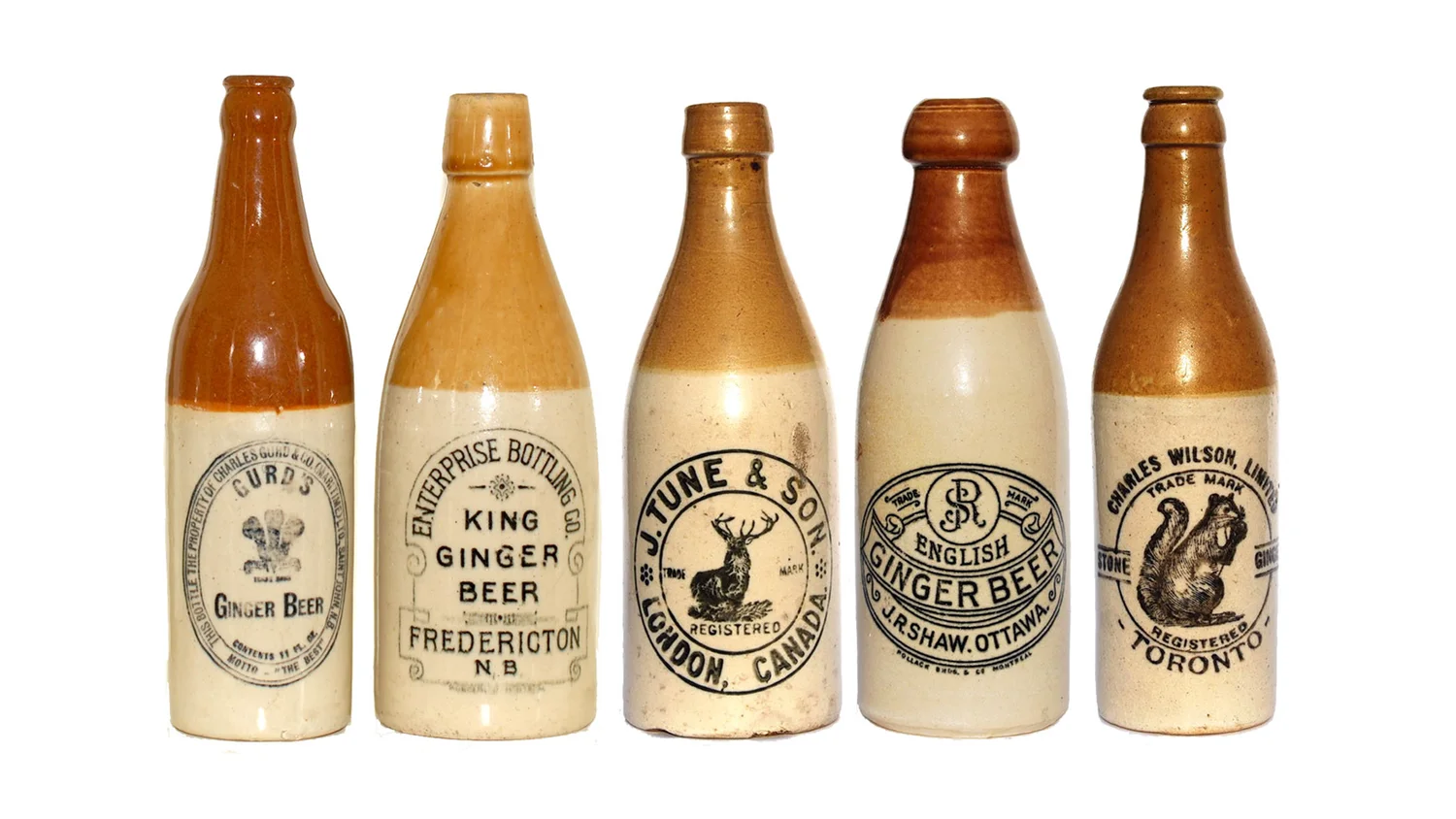 Five antique stoneware ginger beer bottles with stamped oval seals
