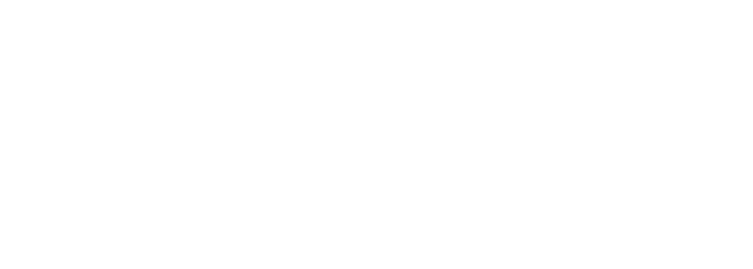 Spyder Interactive - Web Design &amp; Digital Marketing