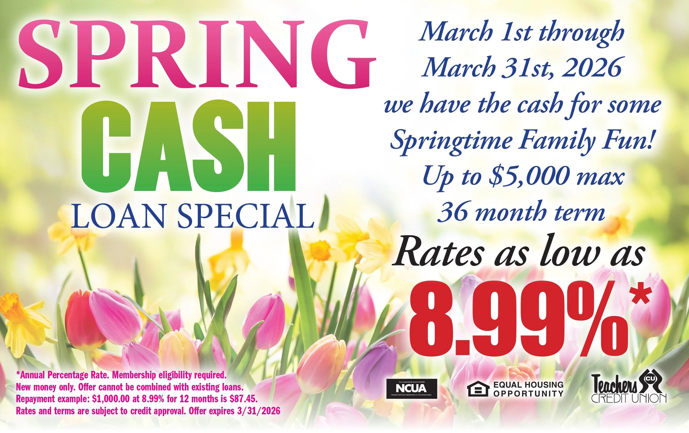 Spring Loan Special