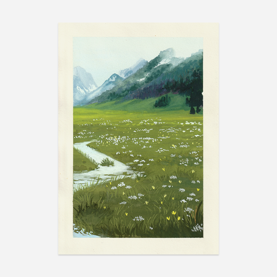 Fields.png