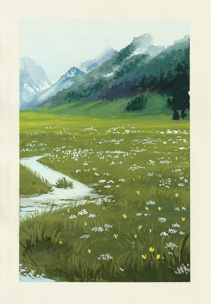 Fields.png