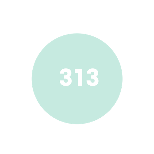 Copy of 3,000 (2).png