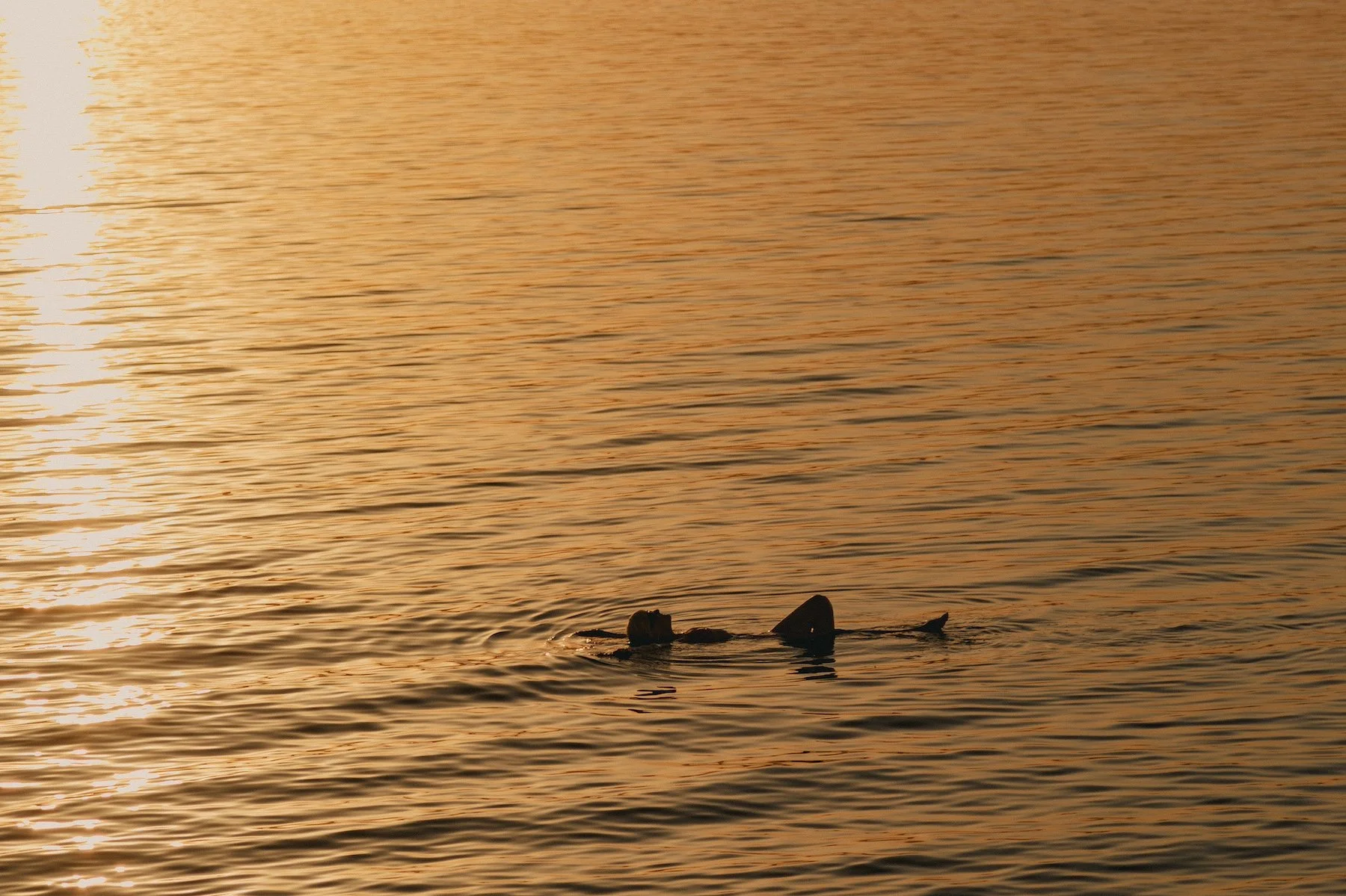 DEAD SEA-Jordan-Sole Holidays.jpeg