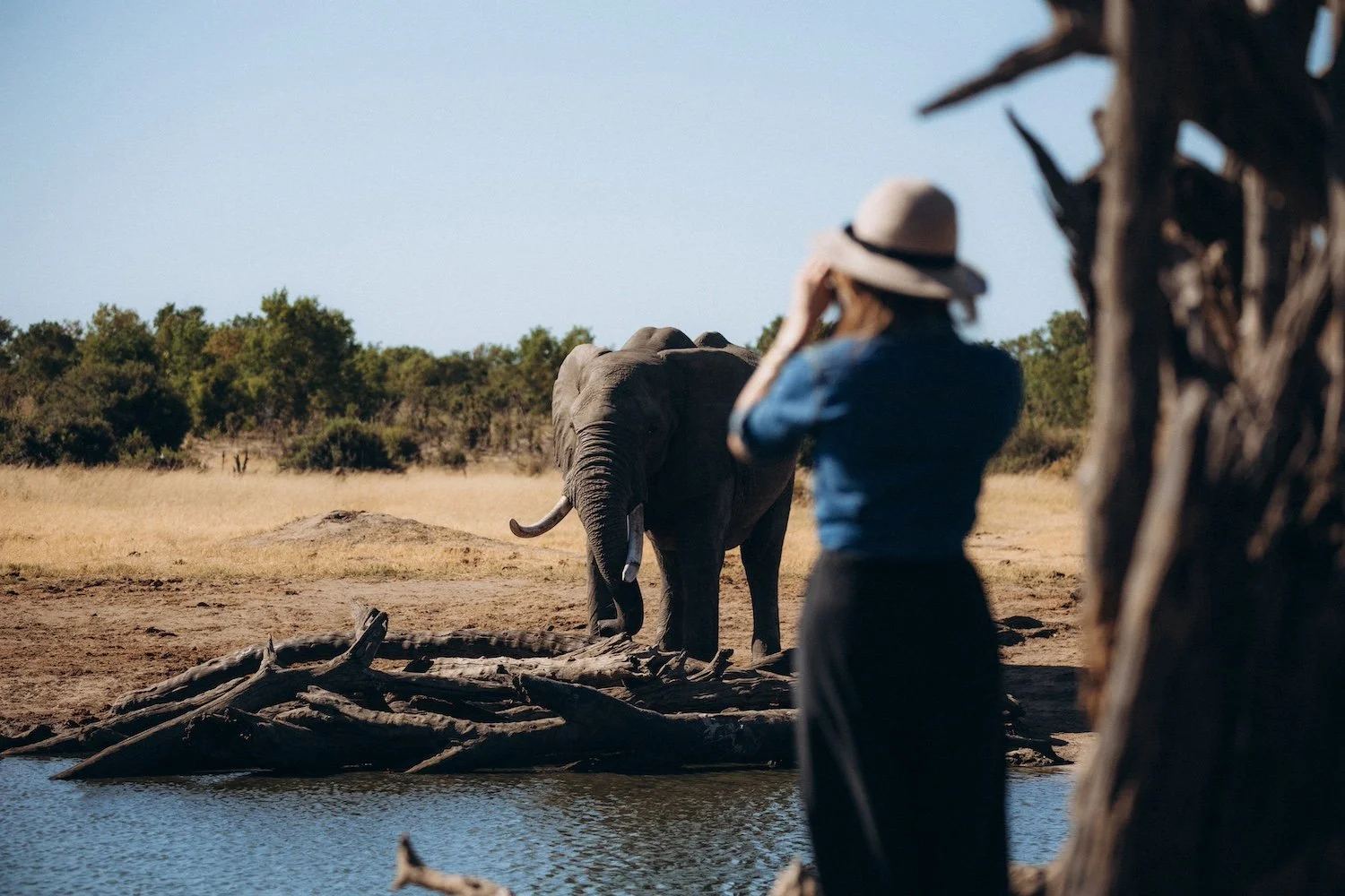 BOTSWANA-SOLEHOLIDAYS-Shari-Elephant.jpeg