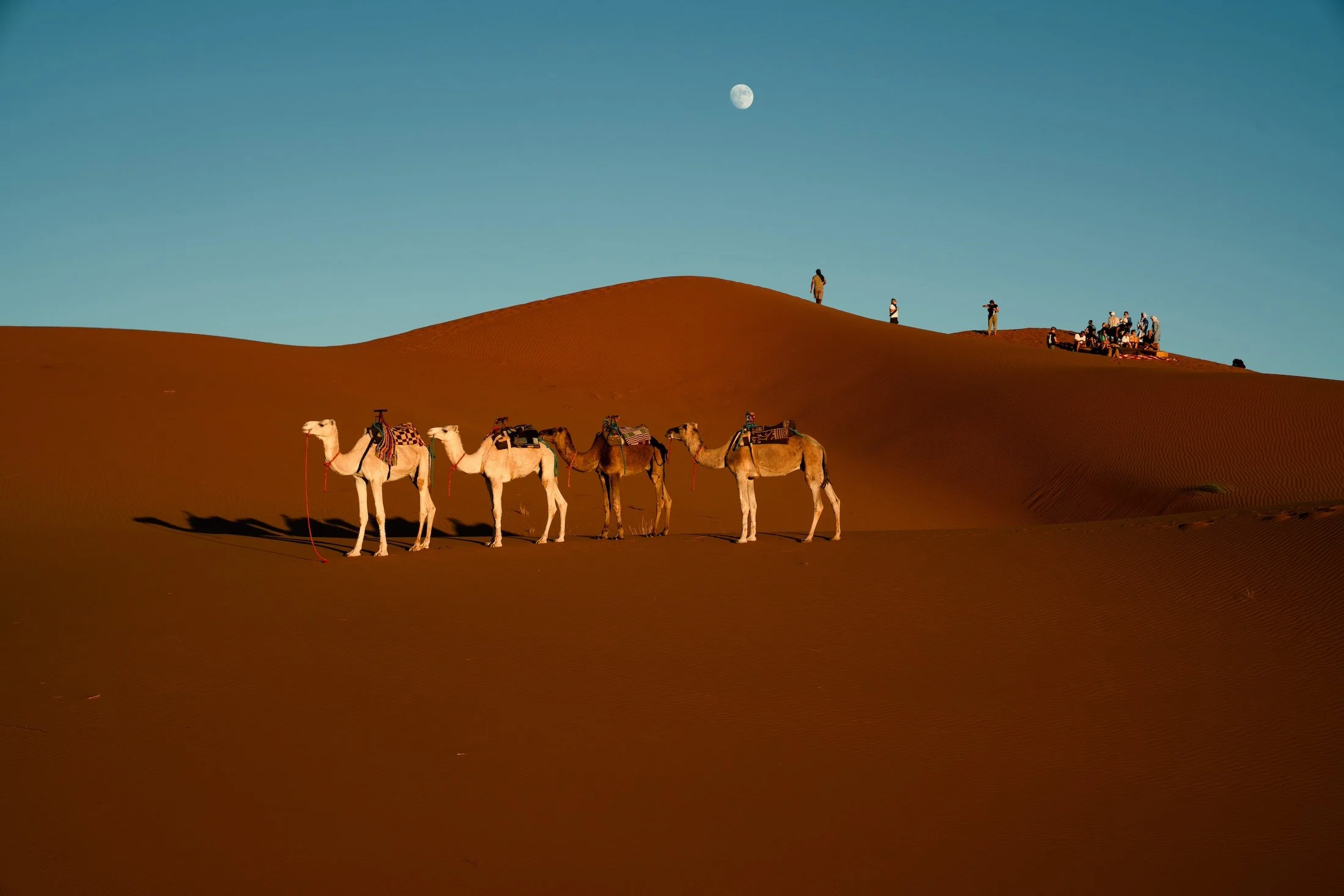 SaharaMorocco_SOLE HOLIDAYS.jpeg