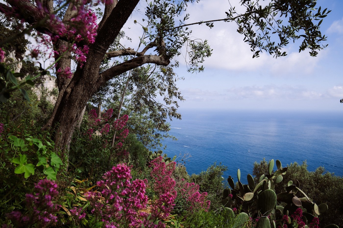 Positano-09764.jpeg