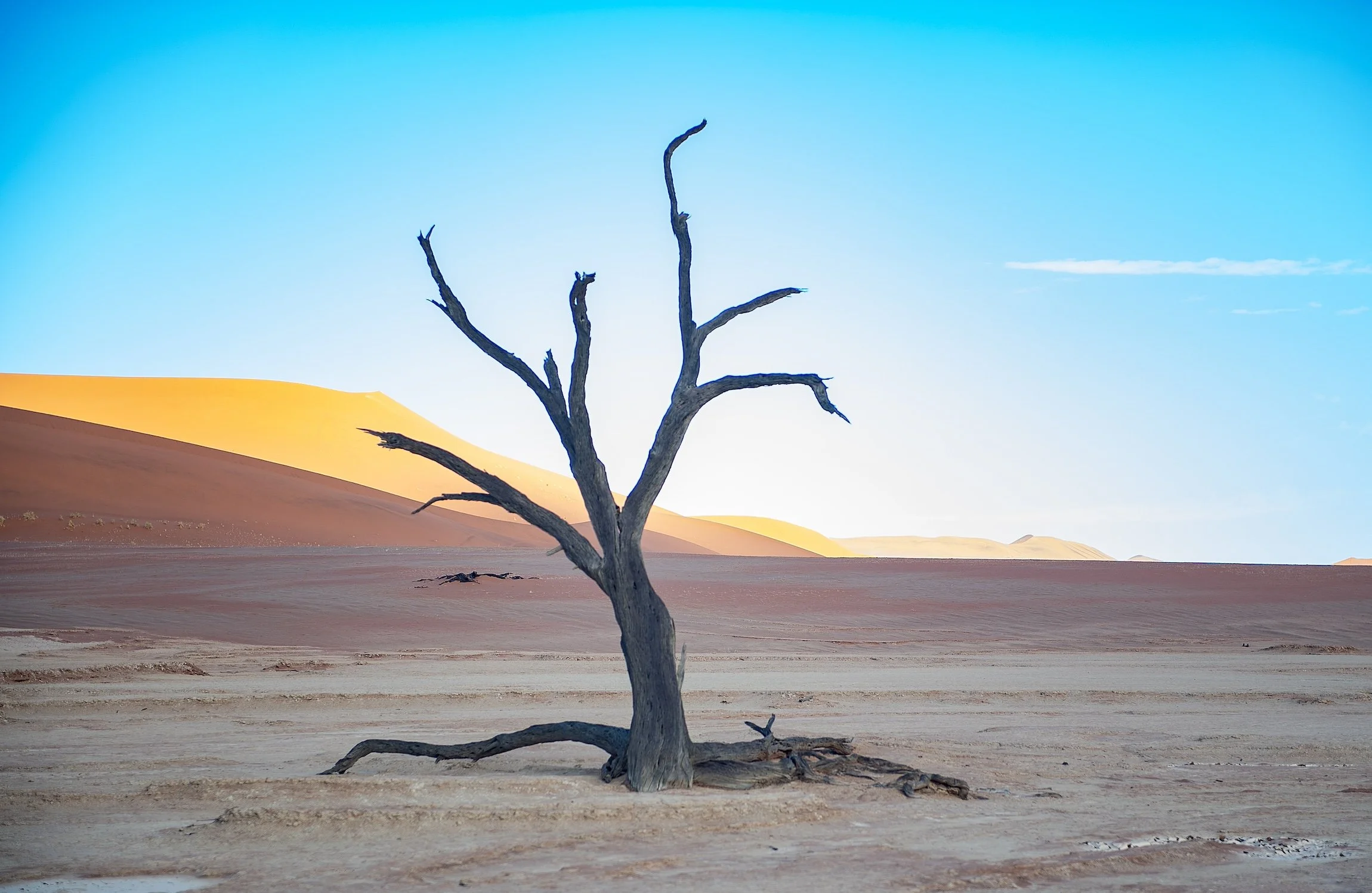 SOLE HOLIDAYS- NAMIBIA_Deadvlei.jpeg