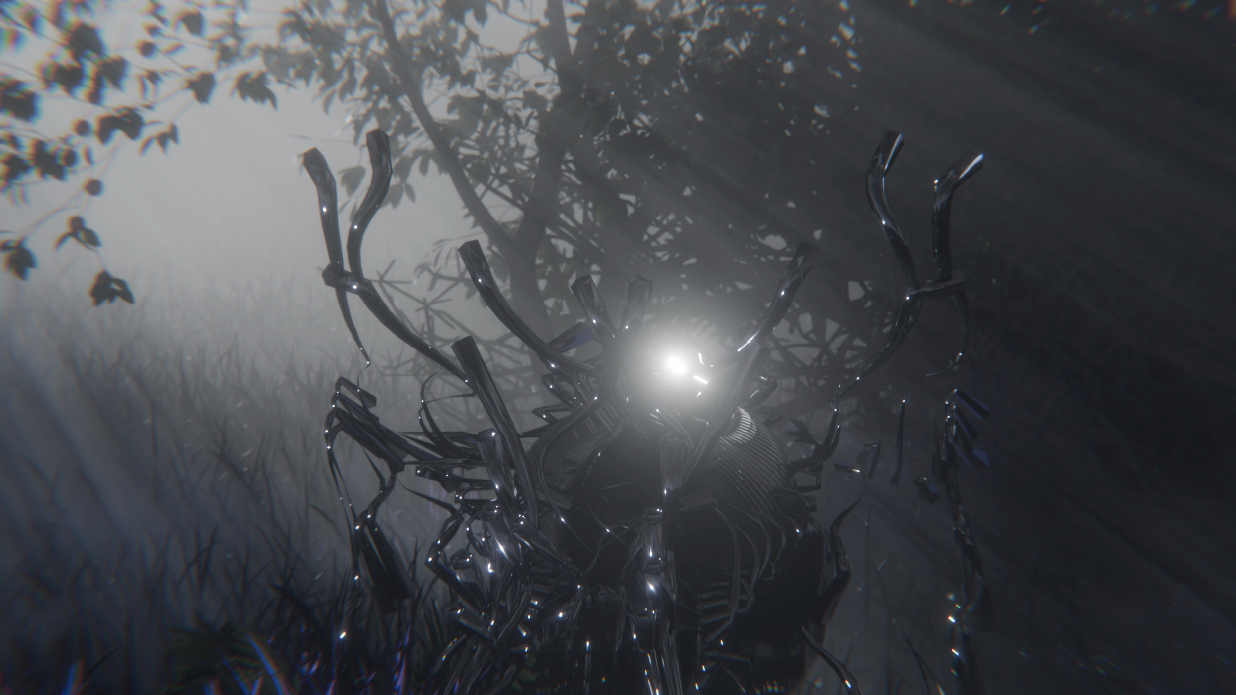 vlcsnap-2025-12-01-23h34m15s399.png