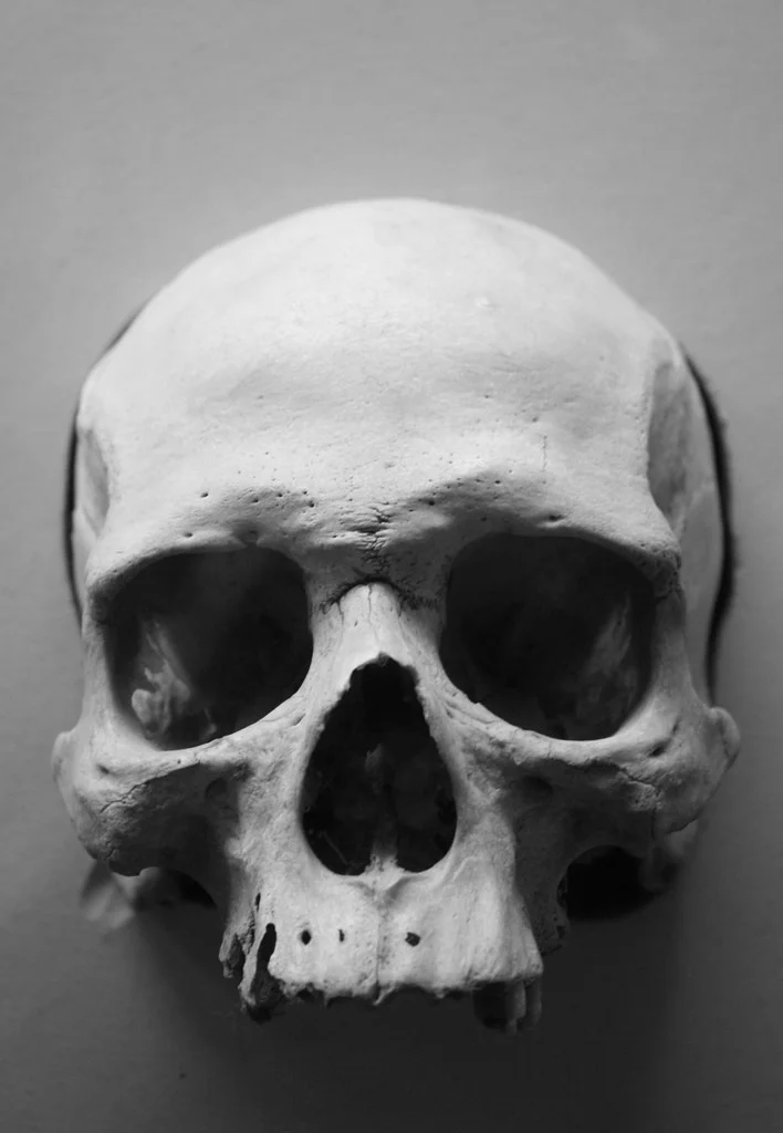 Skull.jpg
