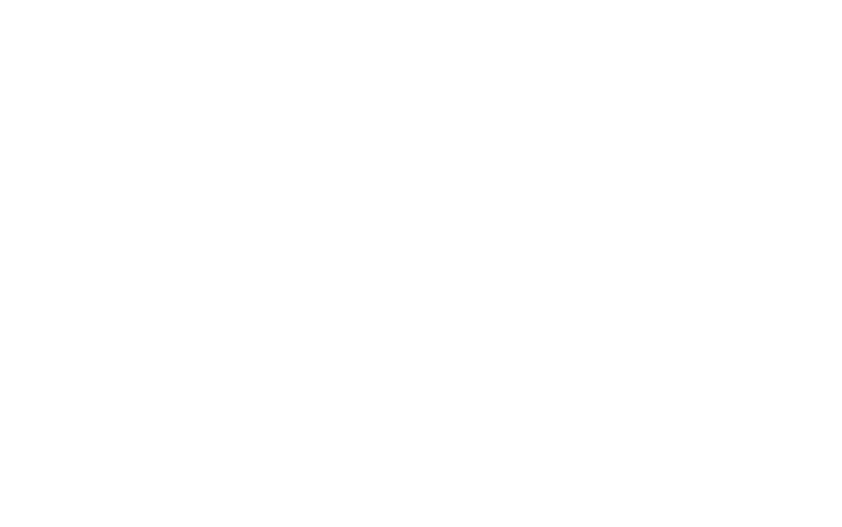 RIO_Logo_Shield_Yellow on Blue.png