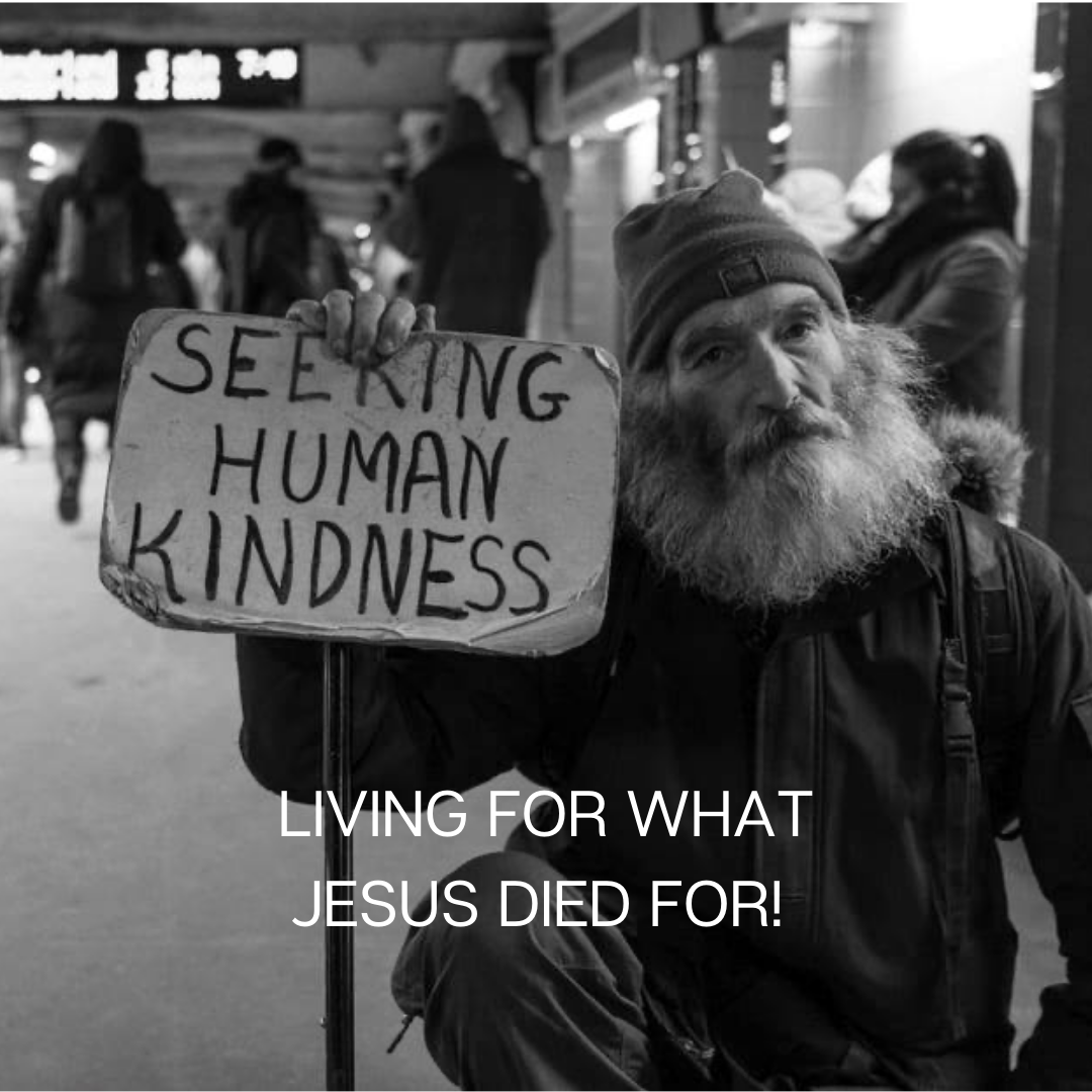 —Matt Collamer, photographer