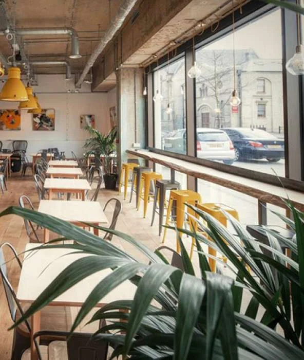 King Edison pendant lights hang above the window bar seating.