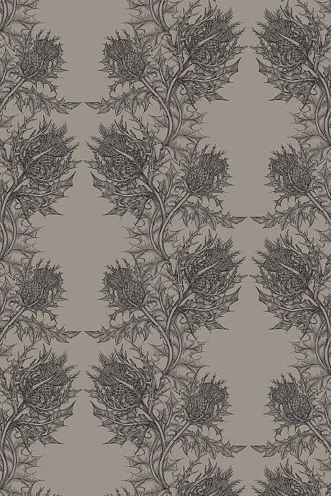 Thistle