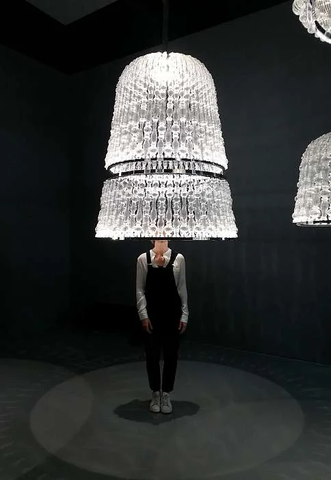 Sharon saw the light at the Milan exhibition last year. 