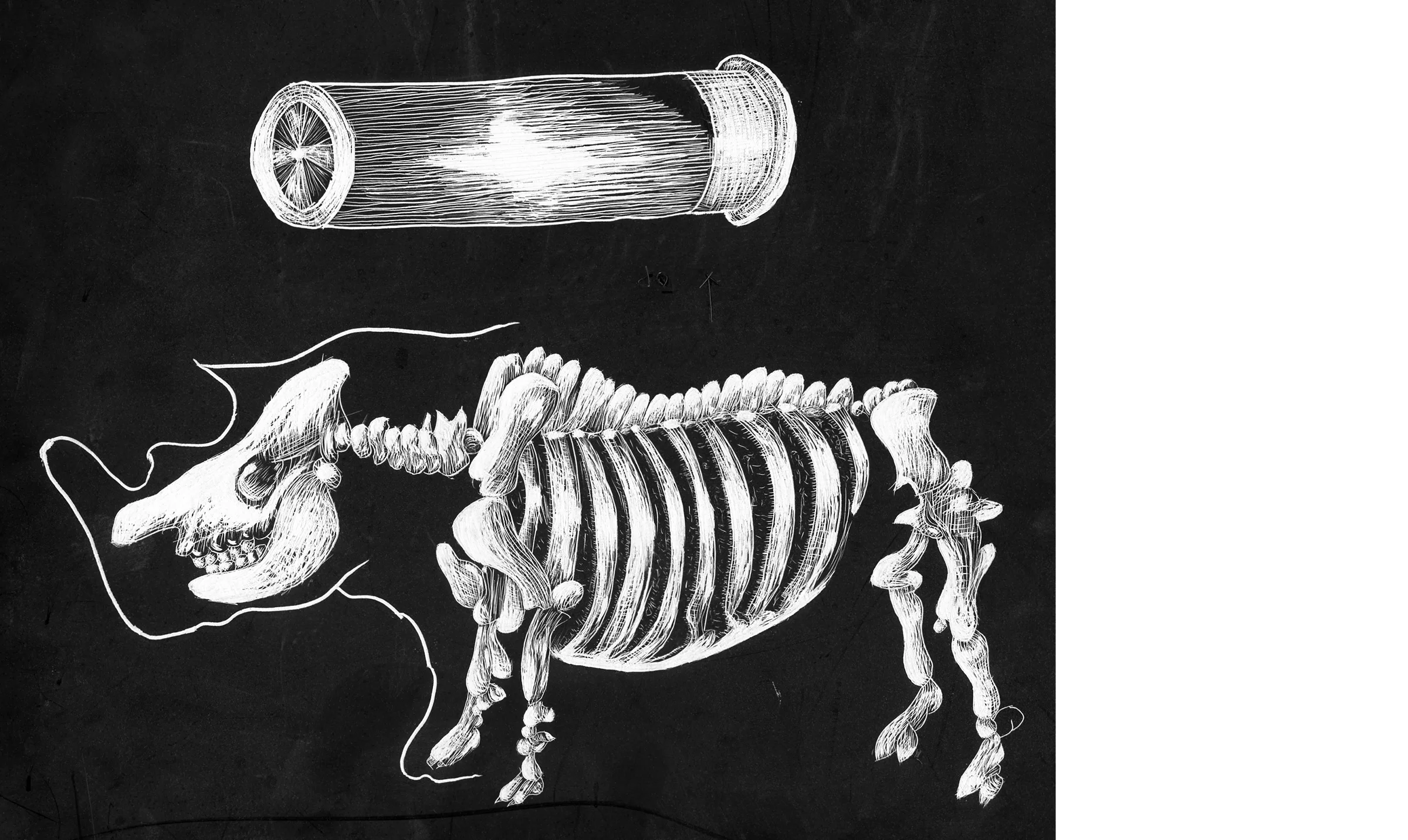 SQbulletbones.jpg
